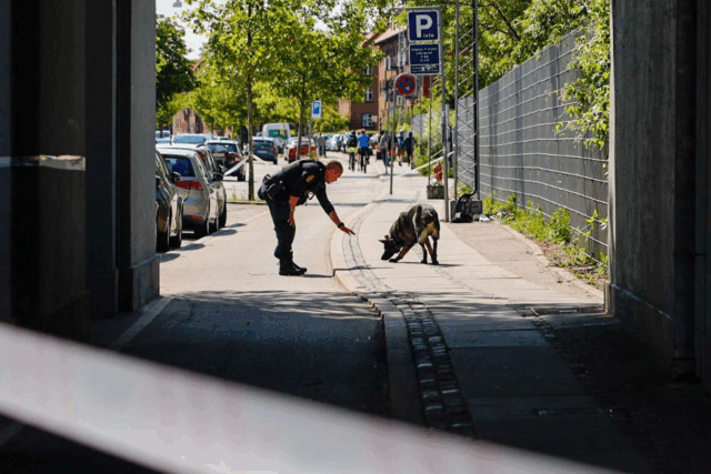 Person stukket ned på åben gade: “De afsøger med hunde”