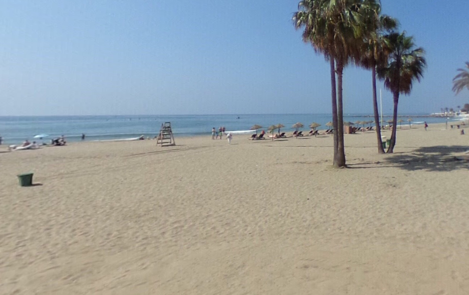 Hvid haj ved strand