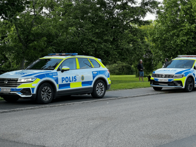 Forsvundet toårig fundet død i vandløb