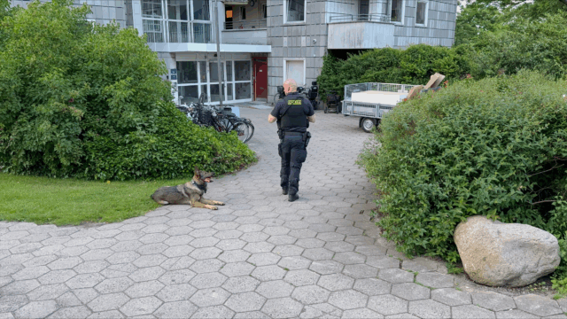 Vidne hørte skud: Politiet finder våben i Brønshøj