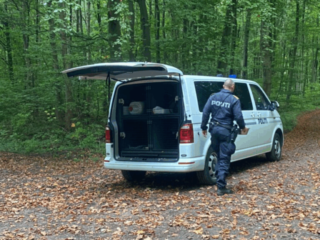 Hjælp politiet: Mand går nøgen rundt med sin hund