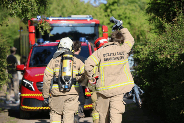 Drama i kolonihaveforening i Aarhus