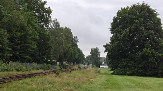 Tog rammer og dræber ung mand