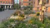 Blomster med hvepse