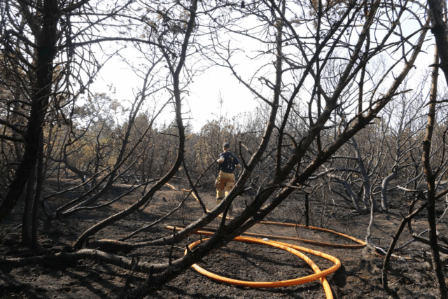 Se de mange billeder: Stor efterslukning ved naturbrand i Skagen