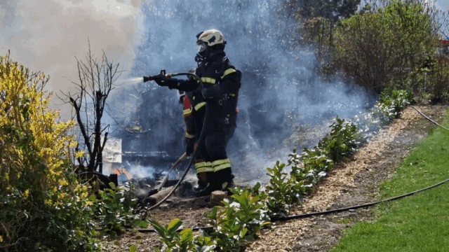 Ville fjerne hvepsebo med ild: Fire brandmænd kørt til hospitalet med ambulancer