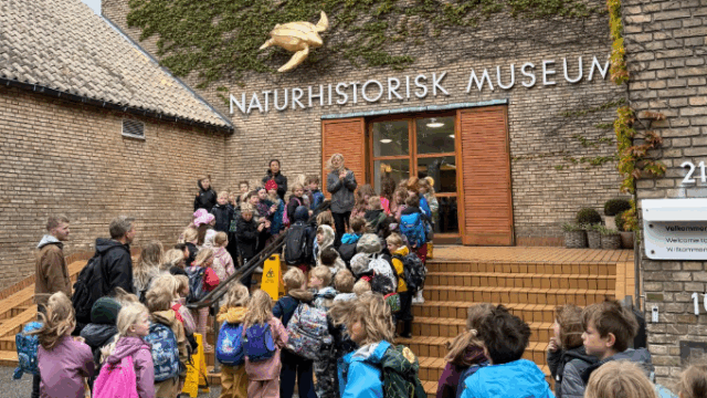 Dansk museum drømmer stort: Projekt til 1,2 milliarder kroner