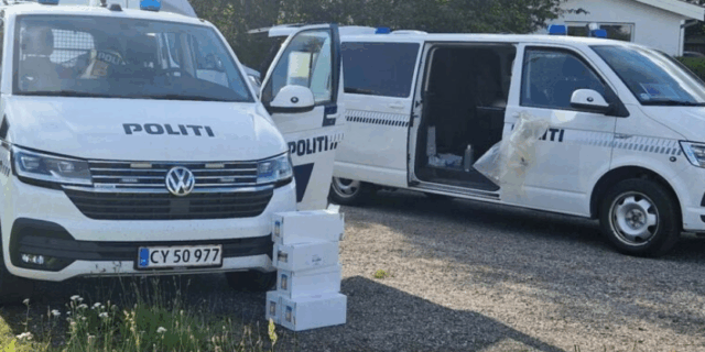 Niårig pige voldtaget af voksen mand