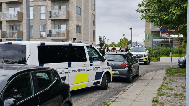 Politihund i aktion og adskillige betjente til stede