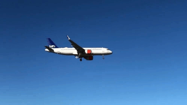 Fly