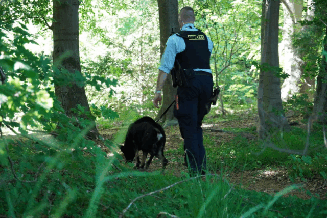23-årig udsat for groft overfald i skovområde