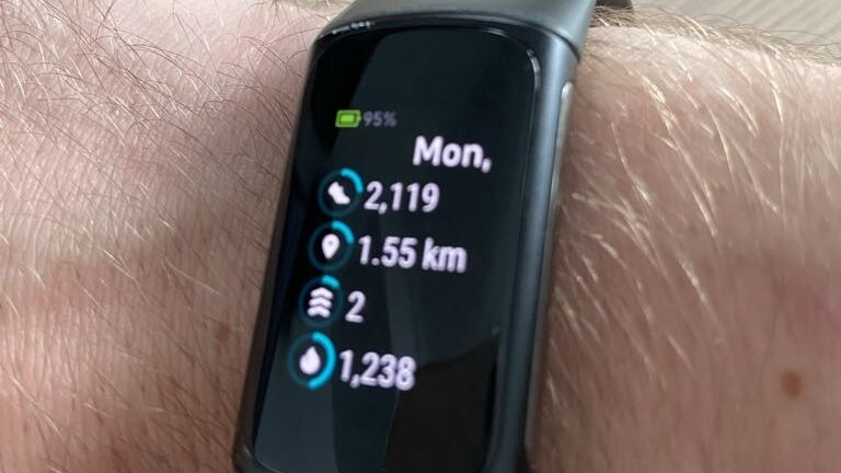 FitBit til at tracke gåtur