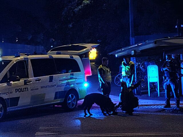 Mand skudt ned på åben gade