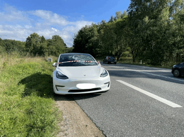 Tesla-chok: Ryger helt ud
