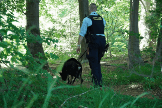 Politiet gør fund i skovområde