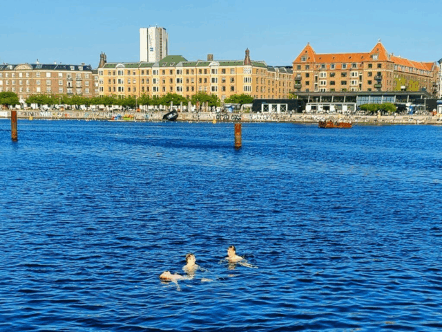 Københavns Kommune advarer: Disse populære badespots kan nu være farlige