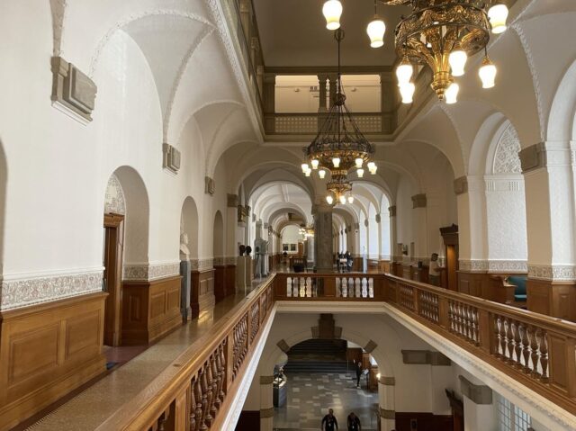 Uro efter CO2-afgift: Gartnerier reddes fra konkurs