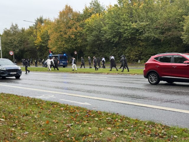 15 personer frihedsberøvet under demonstration