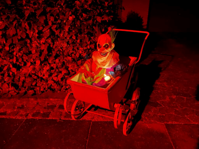 FBI afværger halloween-terrorangreb: Flere anholdt i USA