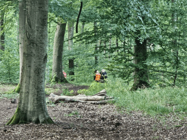 Mystisk sag: Mand fundet død i skov er ikke identificeret