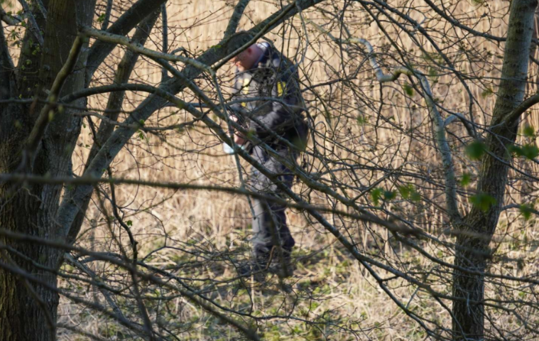 Tilfældig dansker gik tur i skoven: Så lød et brag - og han faldt død til jorden