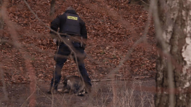 Går amok: Skærer halsen over på hund