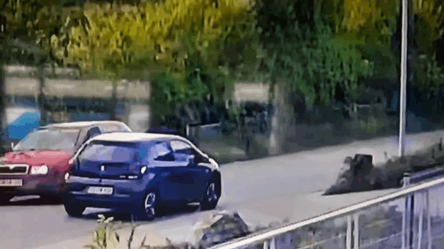 ‘Vi kørte 150 og smadrede ind i ham. Han fløj hen ad jorden og lå helt stille’