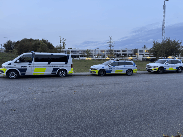 Spærrer vejen: Stort politiopbud ved demonstration