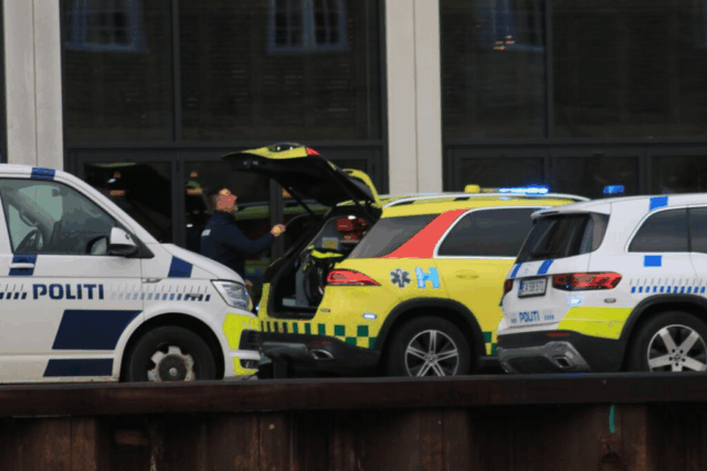 ‘Vores hypotese er selvmord’