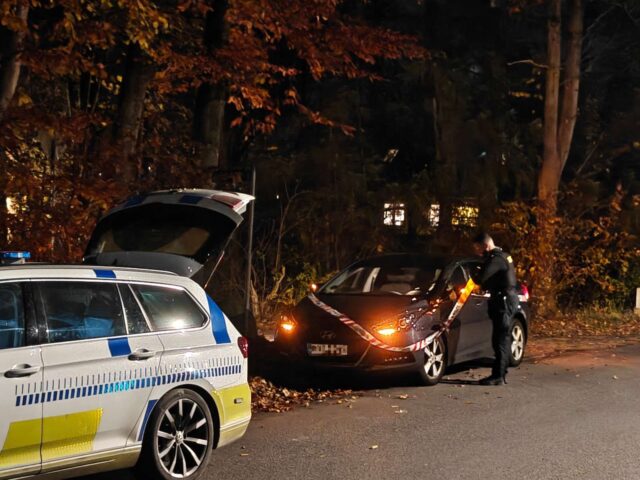 Hillerød: Mindre uheld i skovområde