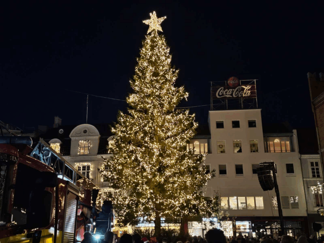 Julelys i lange baner: Se billederne fra det danske julelandskab