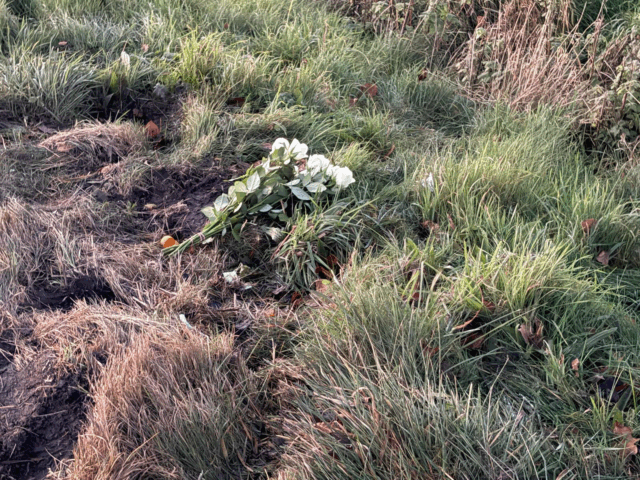 Ung mand mister livet: Fundet på den kolde jord