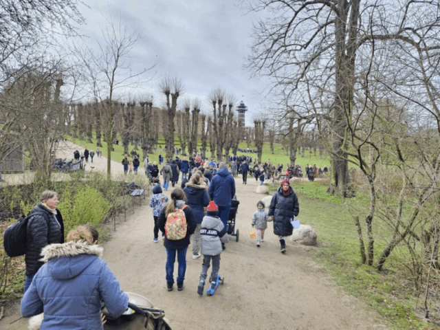 Konservative går tilbage på Frederiksberg