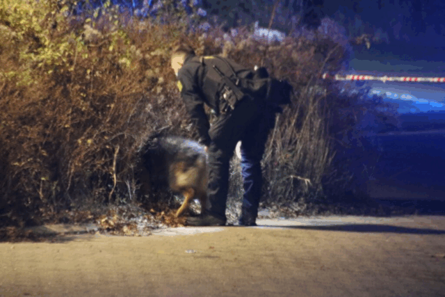 Personer ramt under blodigt opgør ved Netto: Nu deler politiet nyt