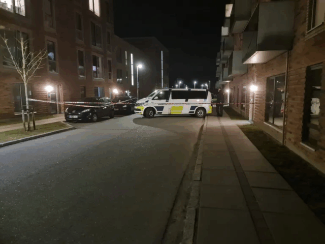 Står bag brutalt overfald med støvsugerrør: Undgår forvaring på trods af lægeanbefalinger