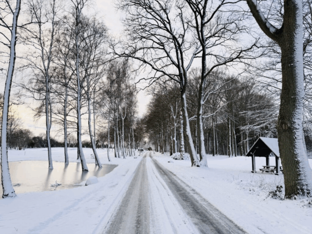 Bidende kold nat: Sådan bliver vejret i weekenden