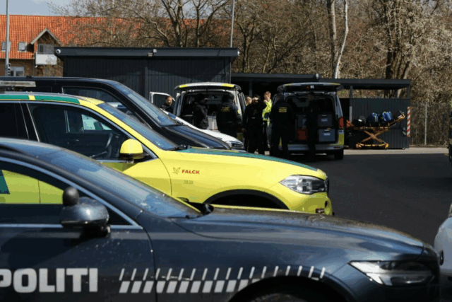 Brager ind i trafiklys, gennem hæk og rammer hus