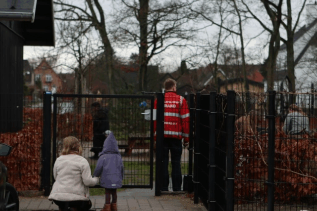 Hunde amok i børnehave: Aflives efter skambid