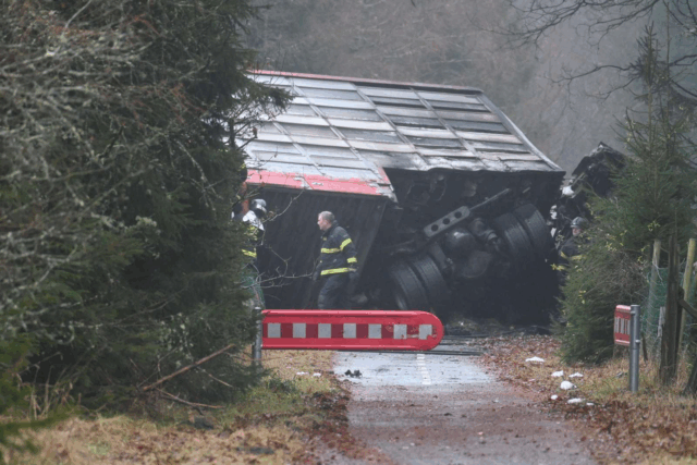 Efter dødsulykke: Nu skal de alle aflives