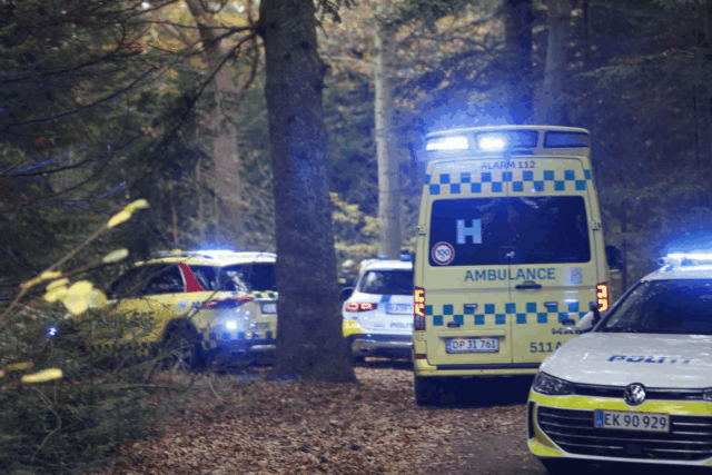Frygteligt syn: Livløs fundet i skovområde – kunne ikke reddes