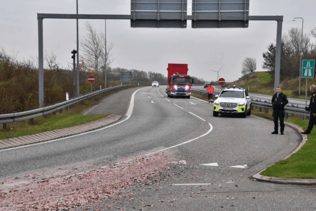 Absurd: Her skøjter bilerne rundt i døde fisk