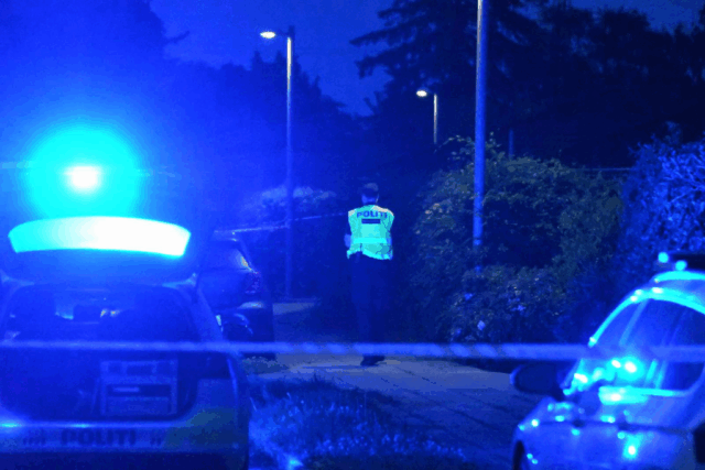 Teenagedrenge truer mand med pistol og stjæler bil