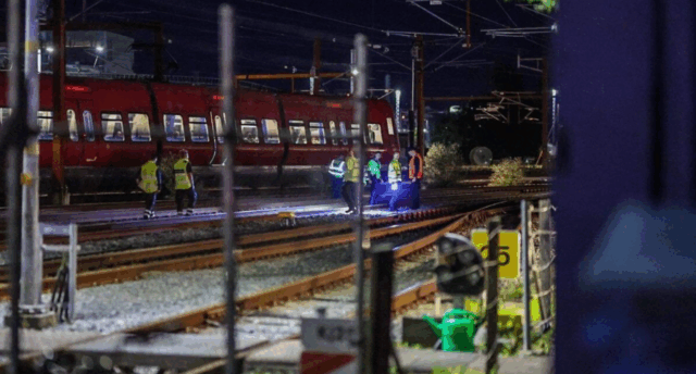 Hund slæbt efter tog