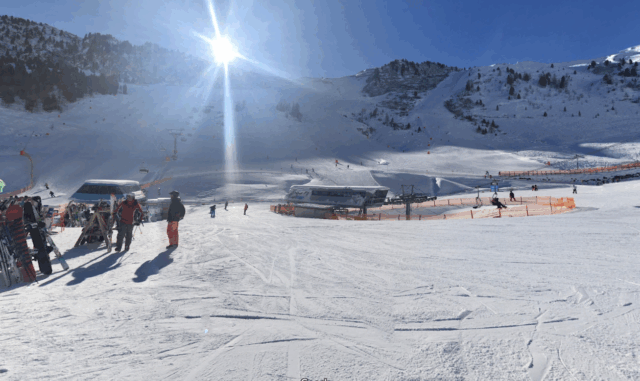 Advarer om farligt virusudbrud: Mange døde