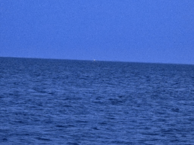 Vildt fund i dansk farvand: ‘Det her er meget sjældent’