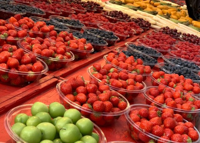 Lægeforening hylder forslag fra Moderaterne