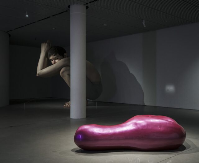 Kæmpe pink dildo bliver fast inventar på ARoS