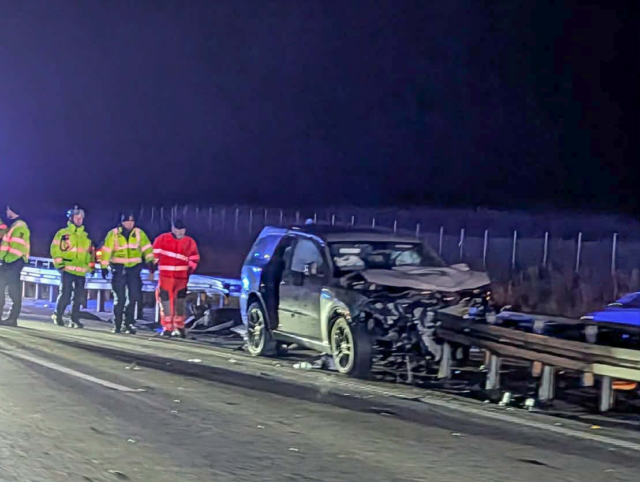 Hund død og mand hårdt kvæstet i fatal ulykke: Politiet deler ny information