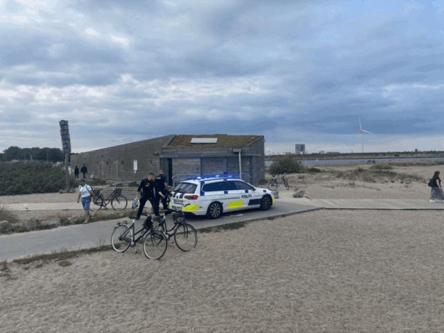 Vanvittig hændelse på Amager: Mand fanget i kviksand med to hunde