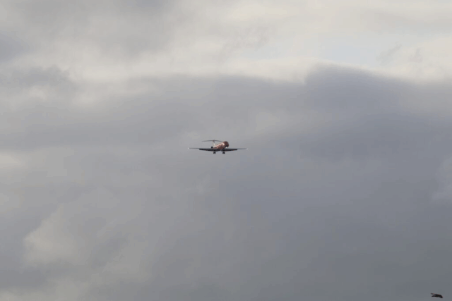 Forfærdelig dødsulykke: To fly støder sammen